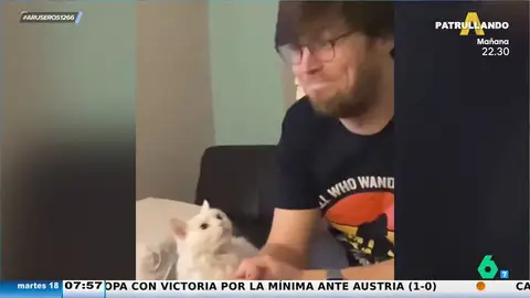  La viral reacción de ‘decepción’ de un gato al escuchar a su dueño decir que salvaría antes a su novia en un incendio