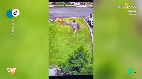 El inesperado encuentro que tiene una joven paseando a su perro que termina en huida El inesperado encuentro que tiene una joven paseando a su perro que termina en huida