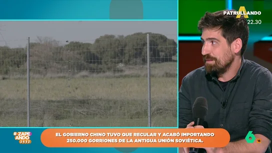 Javier Peña desvela la medida que tomó China para solucionar la crisis provocada por el exterminio de los gorriones Javier Peña desvela la medida que tomó China para solucionar la crisis provocada por el exterminio de los gorriones