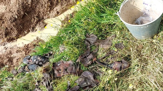 Hallados los primeros restos de seis soldados republicanos en una fosa de Sena de Luna (León) Hallados los primeros restos de seis soldados republicanos en una fosa de Sena de Luna (León)