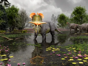 Dinosaurio Lokiceratops Dinosaurio Lokiceratops