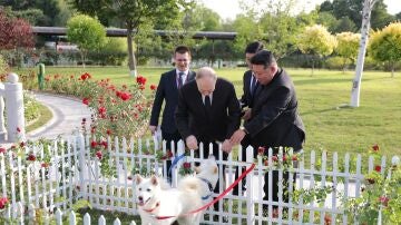 El presidente ruso, Vladimir Putin, recibe dos perros blancos de caza de raza norcoreana como obsequio de Kim Jong-un.
