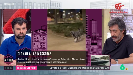 Juan del Val habla de la clonación de animales Juan del Val habla de la clonación de animales