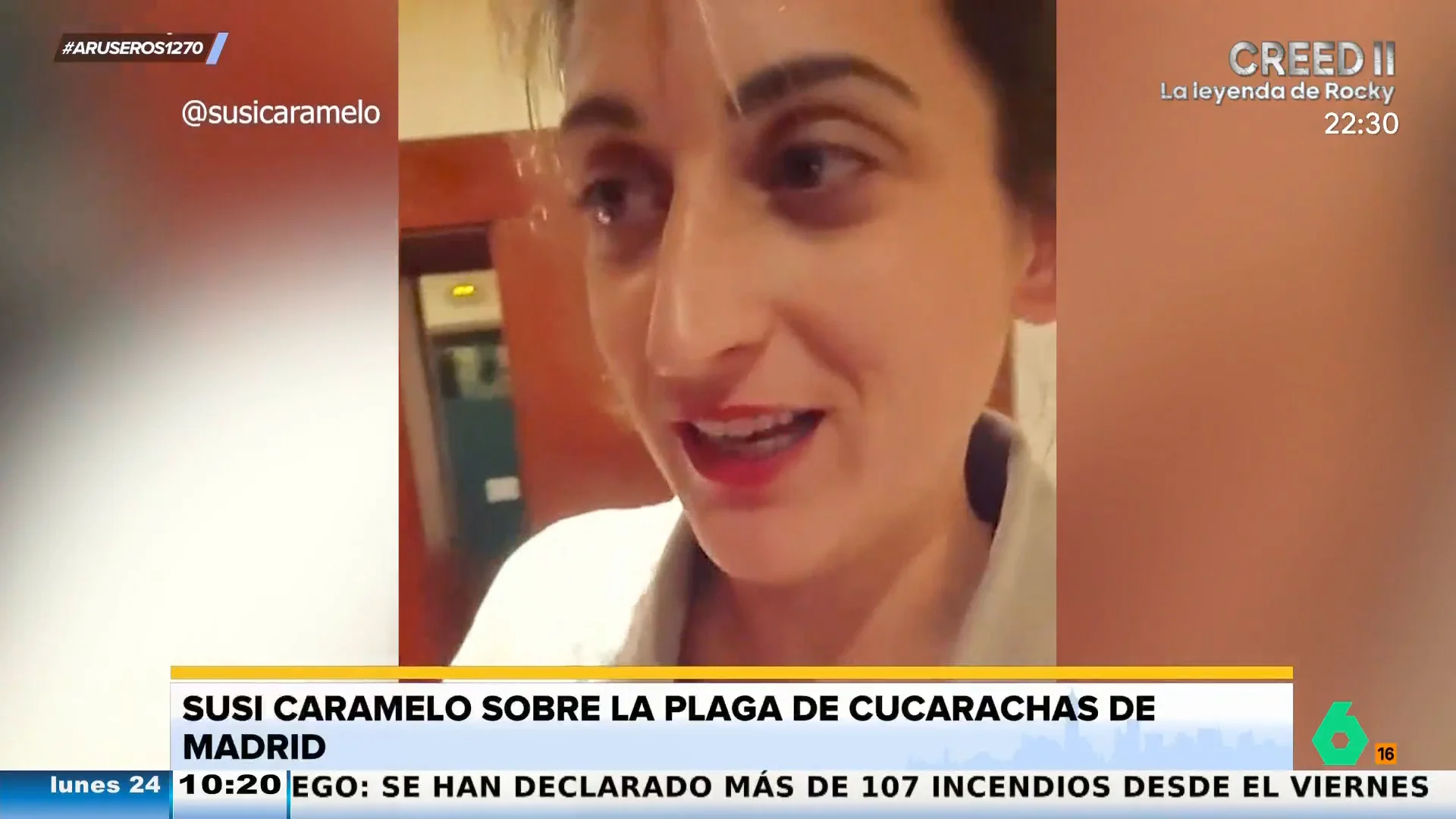 Susi Caramelo, sobre la plaga de cucarachas en Madrid: "Yo lo único que espero es que no vuelen"