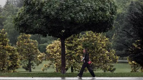 Una persona camina por el campus de la Universidad de Navarra.