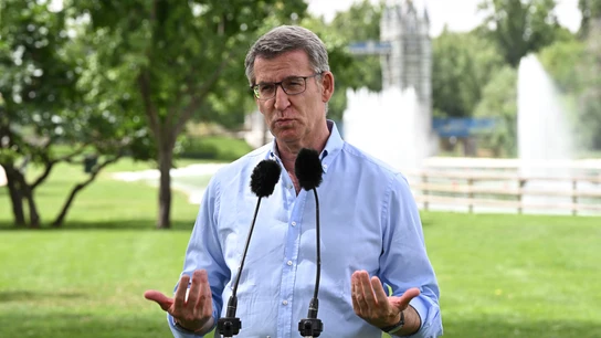 El presidente del PP, Alberto Núñez Feijóo El presidente del PP, Alberto Núñez Feijóo