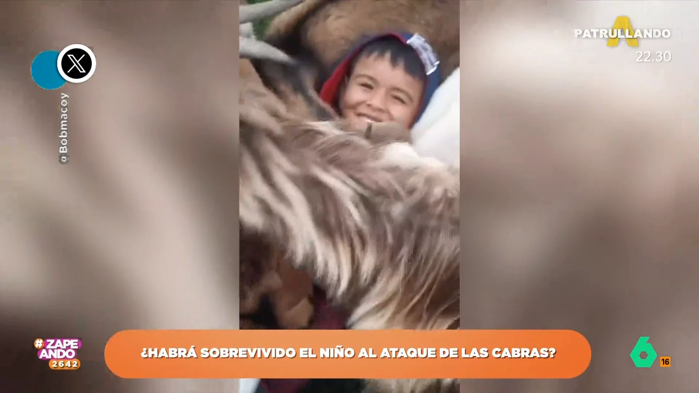 Esto es lo que le sucede a un niño cuando va a dar de comer a unas cabras Esto es lo que le sucede a un niño cuando va a dar de comer a unas cabras