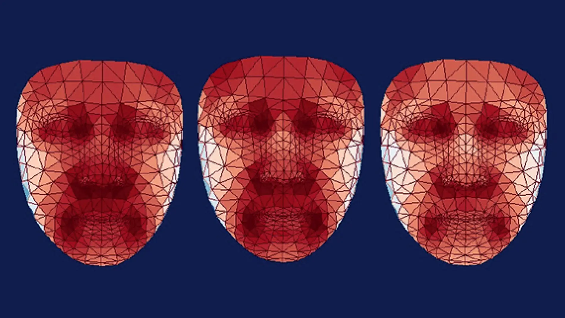 Modelos 3D de las caras