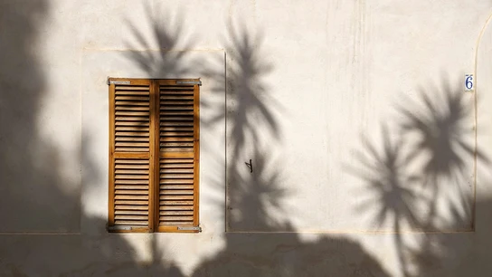 El sol incide sobre una pared con una ventana de madera, donde se ve la sombra de unos árboles. El sol incide sobre una pared con una ventana de madera, donde se ve la sombra de unos árboles.