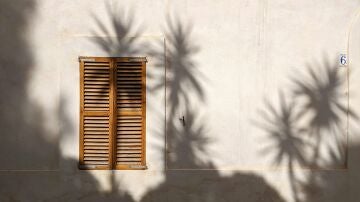 El sol incide sobre una pared con una ventana de madera, donde se ve la sombra de unos árboles.