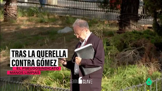 Manos Limpias no es la única: estas son las asociaciones detrás de las querellas contra Begoña Gómez Manos Limpias no es la única: estas son las asociaciones detrás de las querellas contra Begoña Gómez