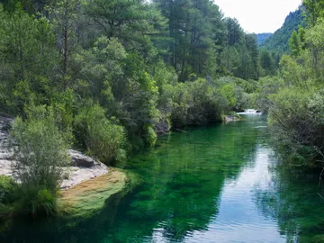 Imagen de archivo de un río Imagen de archivo de un río