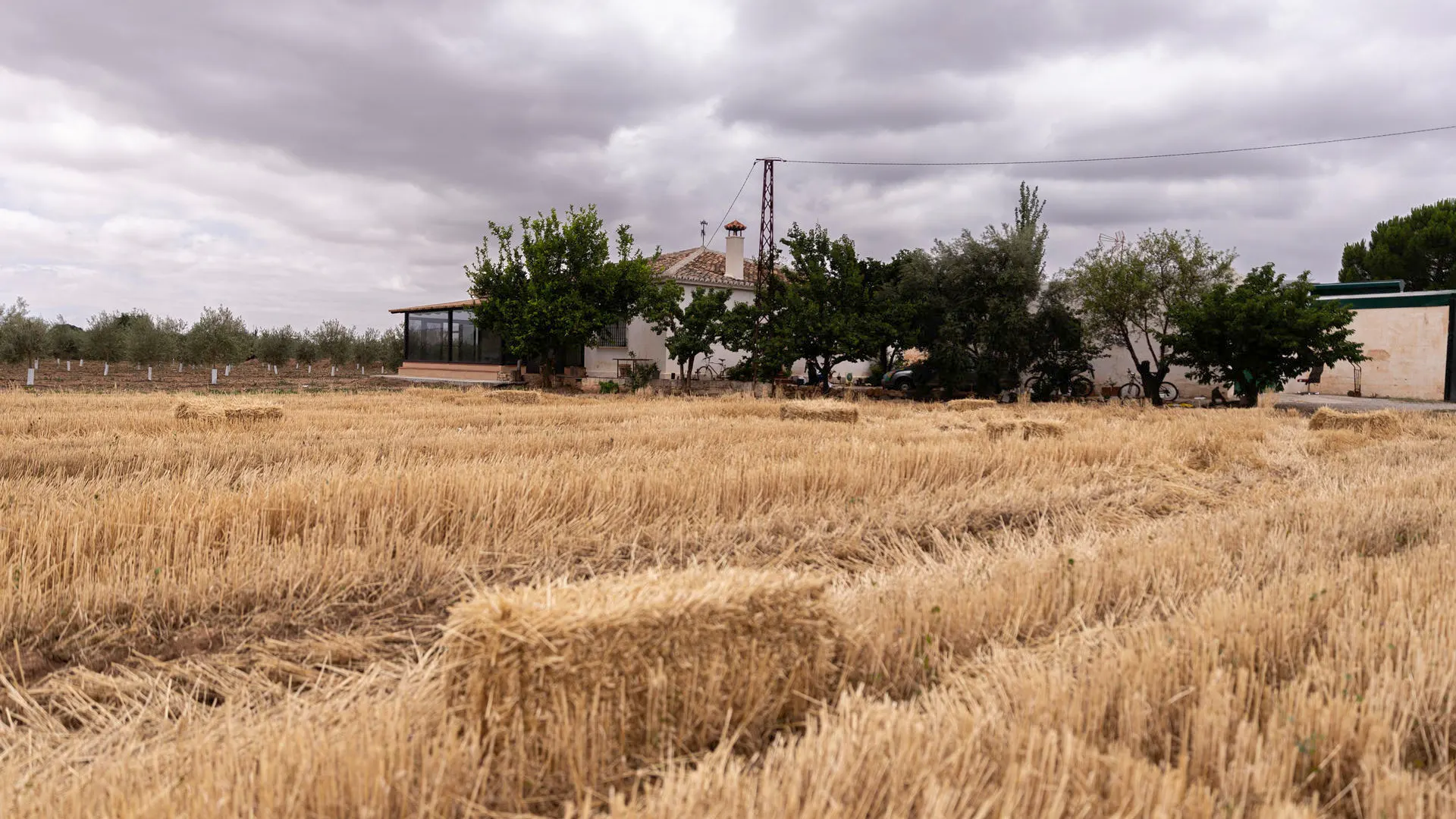 Vista de la vivienda de la mujer de 50 años asesinada por su pareja en Antequera.