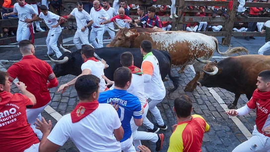 Primer encierro de San Fermín con los toros de La Palmosilla Primer encierro de San Fermín con los toros de La Palmosilla