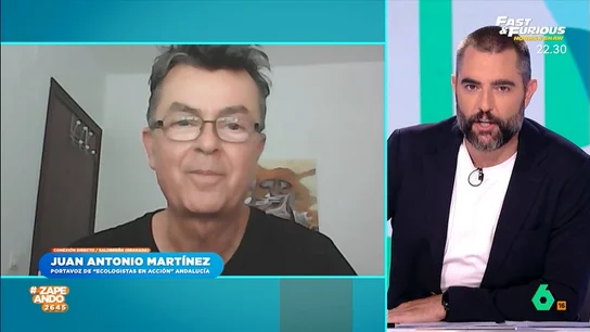 Juan Antonio Martínez, 'Ecologistas en Acción' Andalucía, explica las causas del último ataque de orcas en el estrecho Juan Antonio Martínez, 'Ecologistas en Acción' Andalucía, explica las causas del último ataque de orcas en el estrecho