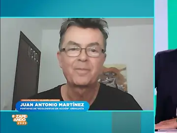 Juan Antonio Martínez, &#39;Ecologistas en Acción&#39; Andalucía, explica las causas del último ataque de orcas en el estrecho