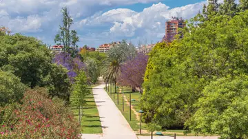 Jardín del Turia, Valencia