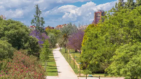 Jardín del Turia, Valencia Jardín del Turia, Valencia