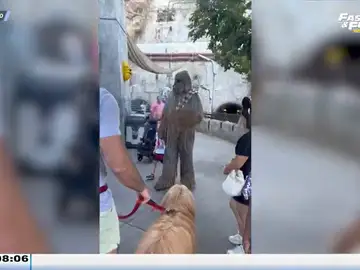 Un hombre lleva a su perro a Disnelyand para conocer a Chewbacca: &quot;Parecen padre e hijo&quot;