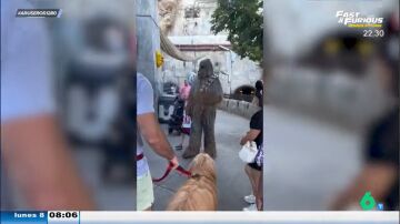 Un hombre lleva a su perro a Disnelyand para conocer a Chewbacca: "Parecen padre e hijo"