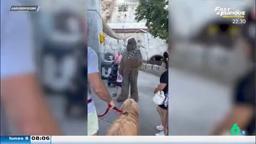 Un hombre lleva a su perro a Disnelyand para conocer a Chewbacca: &quot;Parecen padre e hijo&quot;
