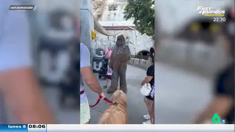 Un hombre lleva a su perro a Disnelyand para conocer a Chewbacca: "Parecen padre e hijo"