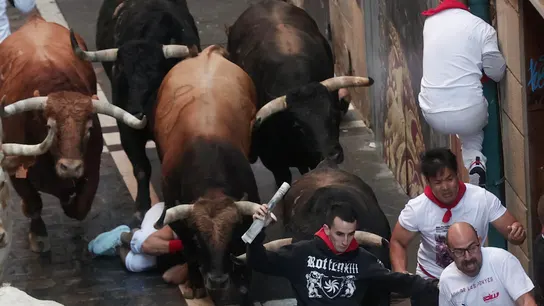 Los toros de La Palmosilla durante el primer encierro de San Fermín 2024. Los toros de La Palmosilla durante el primer encierro de San Fermín 2024.