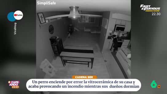 Un perro enciende por error la vitrocer&aacute;mica y acaba provocando un incendio mientras sus due&ntilde;os dorm&iacute;an