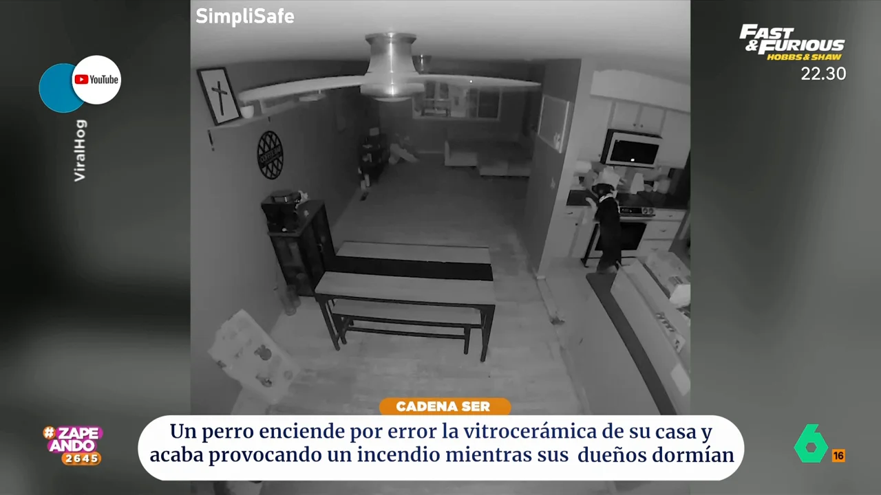 Un perro enciende por error la vitrocerámica y acaba provocando un incendio mientras sus dueños dormían