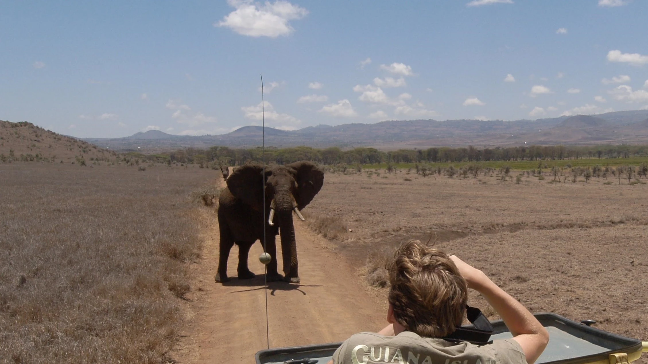 Muere un turista español al ser atropellado por un elefante en Sudáfrica