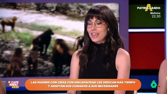 Laura Cam&oacute;n cuenta c&oacute;mo un grupo de babuinos la protegi&oacute; de un le&oacute;n en Senegal: "Echaron al le&oacute;n, se enfrentaron a &eacute;l"
