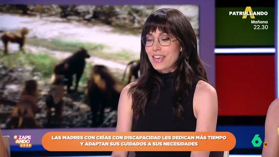 Laura Camón cuenta cómo un grupo de babuinos la protegió de un león en Senegal: "Echaron al león, se enfrentaron a él" Laura Camón cuenta cómo un grupo de babuinos la protegió de un león en Senegal: "Echaron al león, se enfrentaron a él"