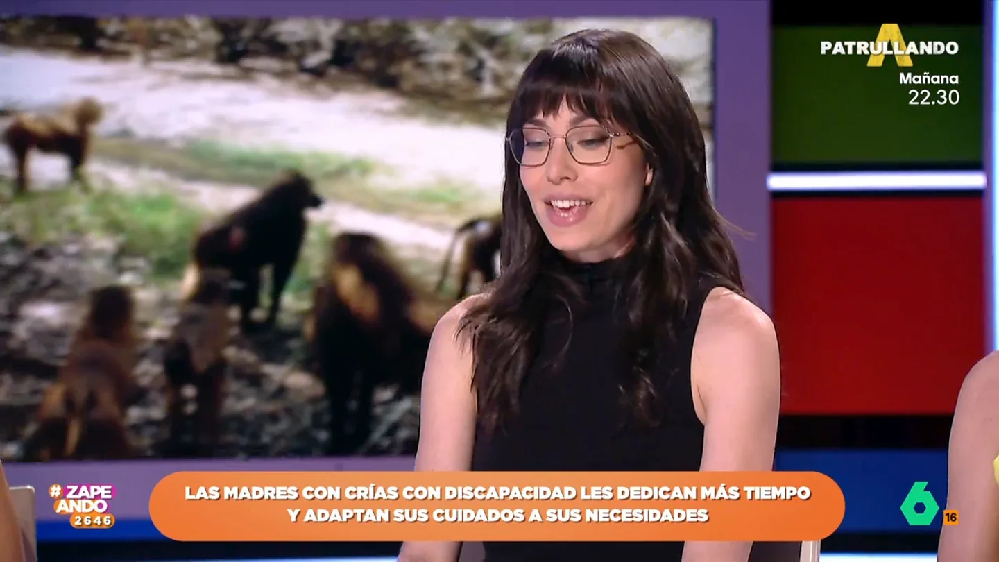 Laura Camón cuenta cómo un grupo de babuinos la protegió de un león en Senegal: "Echaron al león, se enfrentaron a él" Laura Camón cuenta cómo un grupo de babuinos la protegió de un león en Senegal: "Echaron al león, se enfrentaron a él"