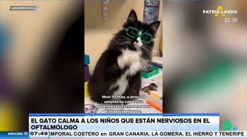 Un oftalmólogo adopta un gato para intentar calmar los nervios de los niños que llegan a su consulta 