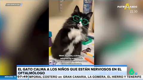 Un oftalmólogo adopta un gato para intentar calmar los nervios de los niños que llegan a su consulta 