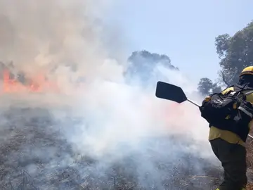 Un bombero forestal luchando contra un incendio en Andalucía.