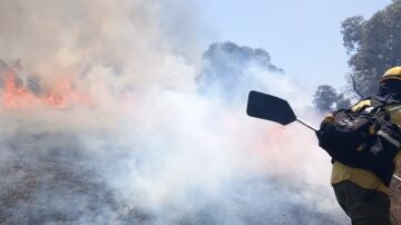 Un bombero forestal luchando contra un incendio en Andalucía.