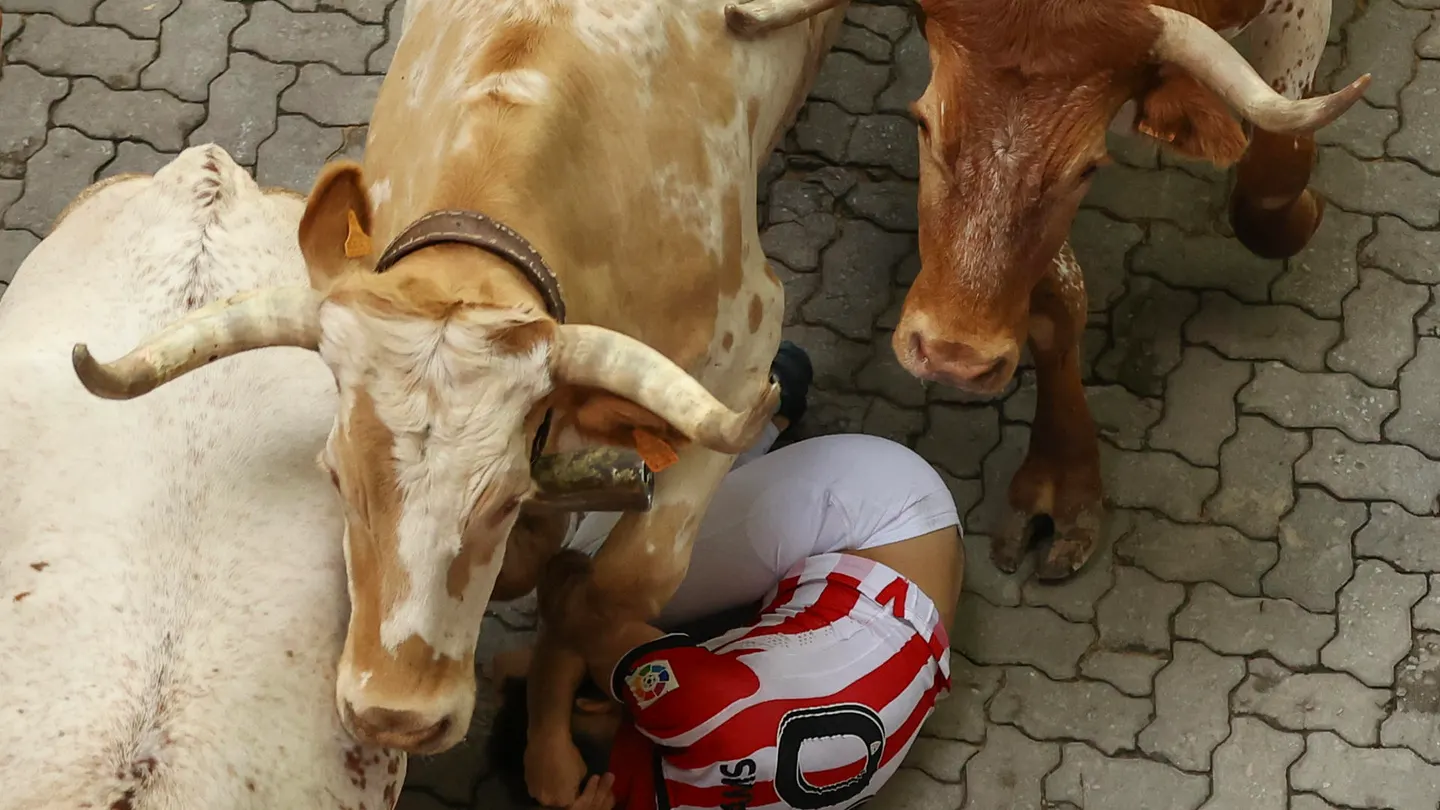 Varios astados pasan sobre un mozo este miércoles durante el cuatro encierro de los Sanfermines, en Pamplona. Varios astados pasan sobre un mozo este miércoles durante el cuatro encierro de los Sanfermines, en Pamplona.