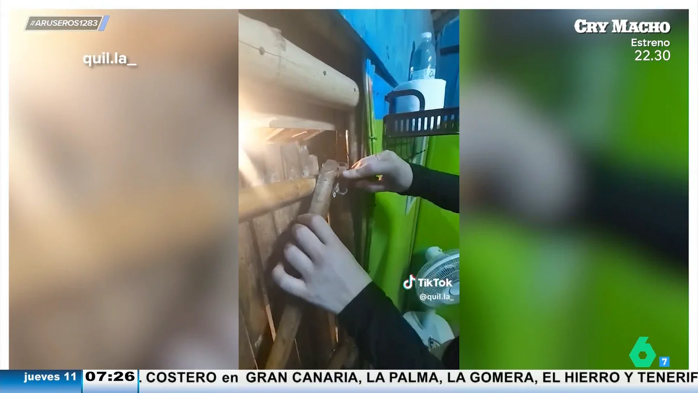 Este es el resultado de alquilar el apartamento más barato de Tailandia: "Me río por no llorar" Este es el resultado de alquilar el apartamento más barato de Tailandia: "Me río por no llorar"
