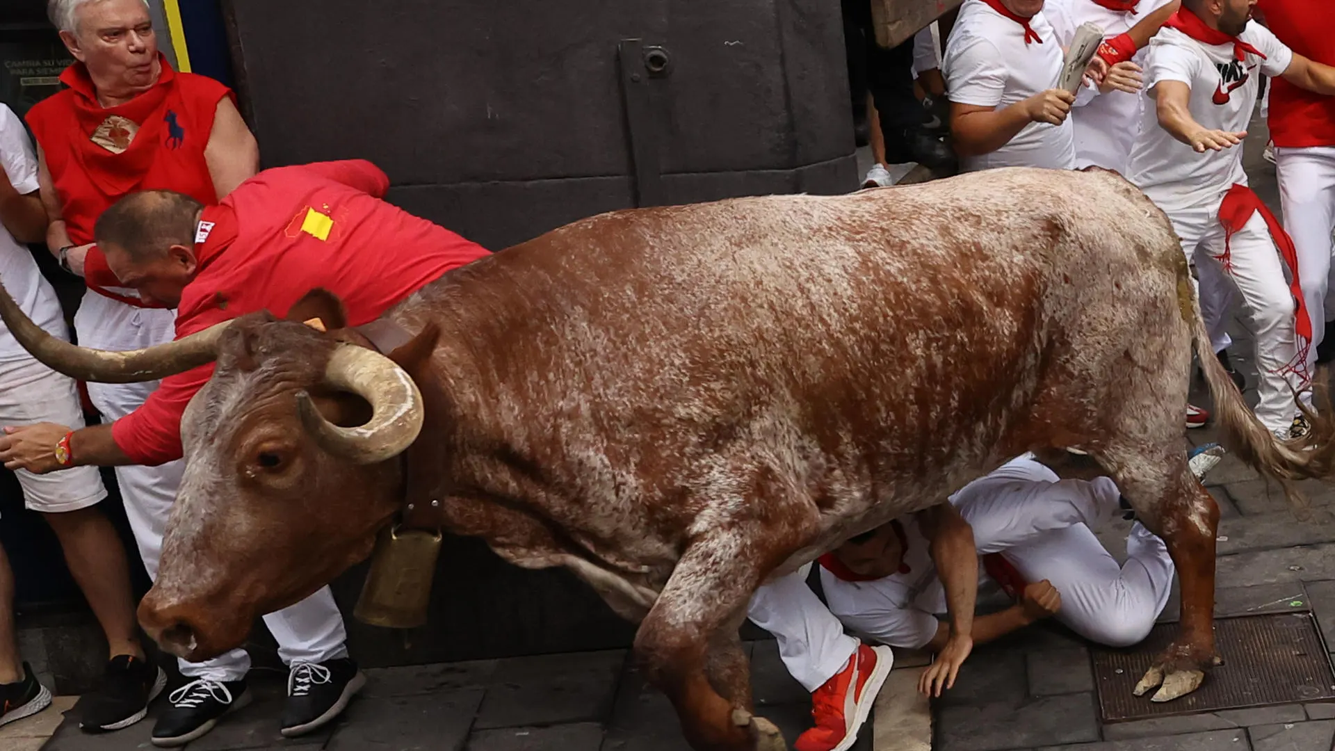 Los mozos son perseguidos por los toros de la ganadería de Domingo Hernández Martín, de El Palancar de Traguntía (Salamanca), este jueves durante el quinto encierro de los Sanfermines 2024.