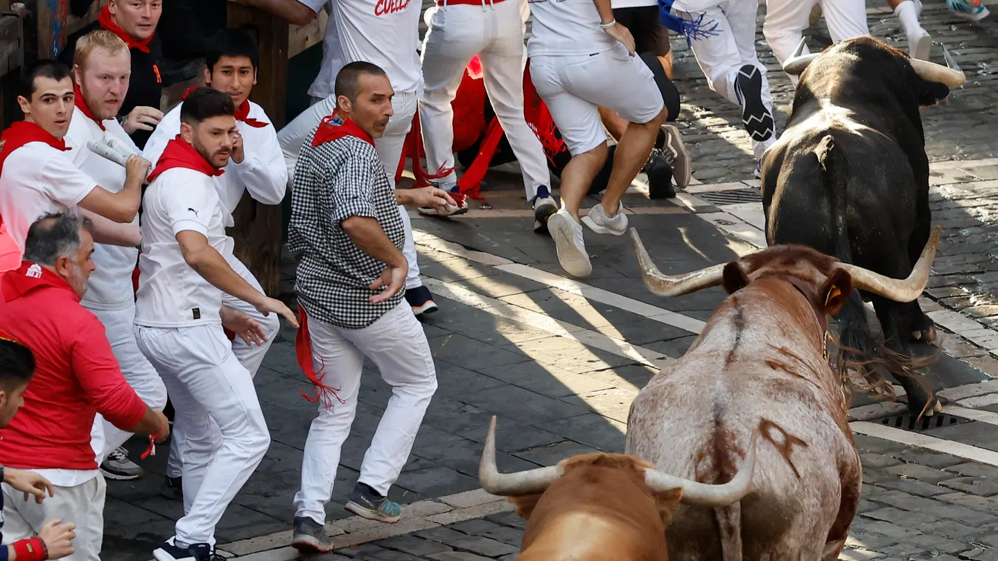 Los toros de la ganadería de Domingo Hernández Martín se dirigen hacia la calle Mercaderes en el quinto encierro de los Sanfermines este jueves en Pamplona. Los toros de la ganadería de Domingo Hernández Martín se dirigen hacia la calle Mercaderes en el quinto encierro de los Sanfermines este jueves en Pamplona.