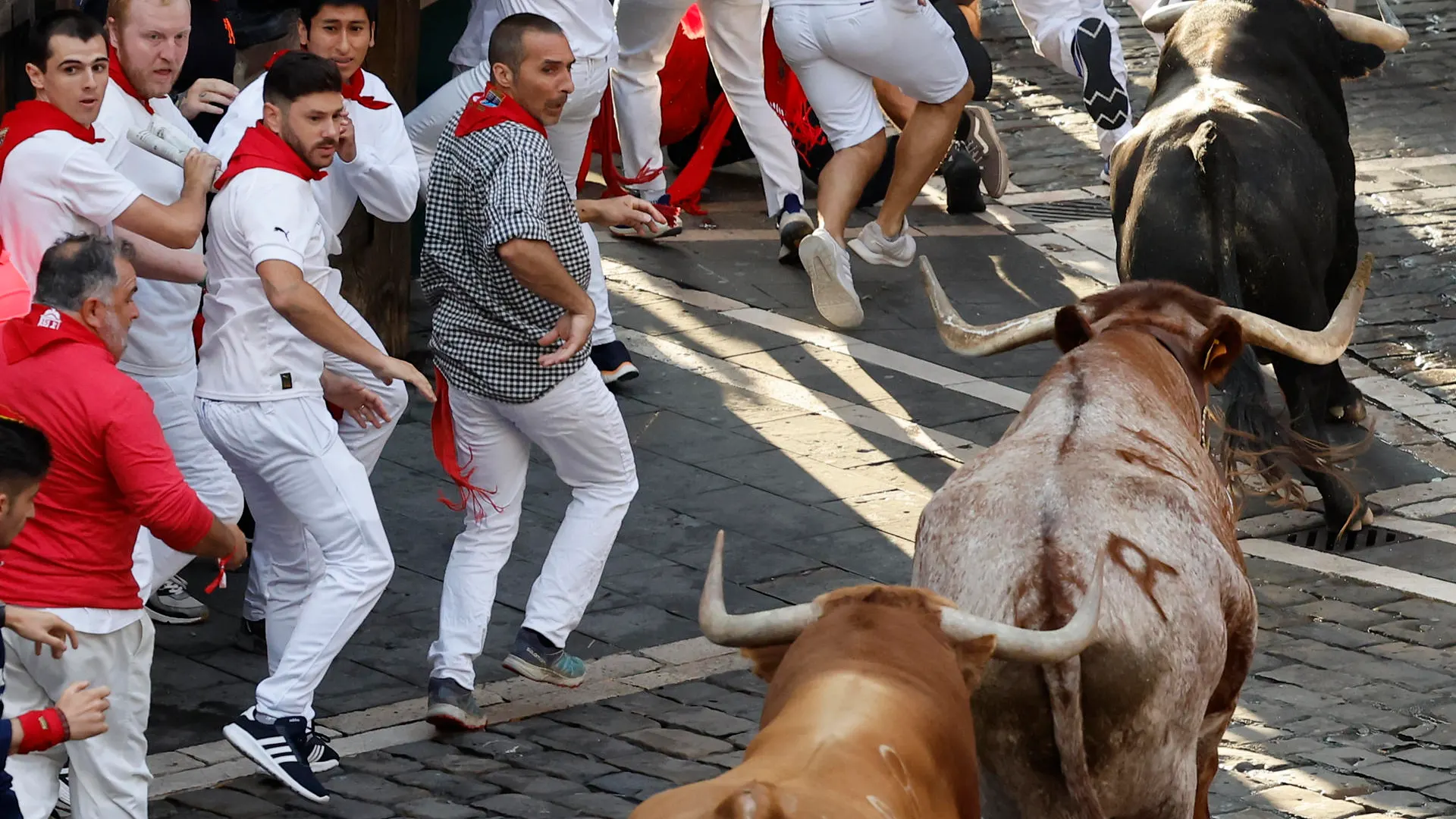 Los toros de la ganadería de Domingo Hernández Martín se dirigen hacia la calle Mercaderes en el quinto encierro de los Sanfermines este jueves en Pamplona. 