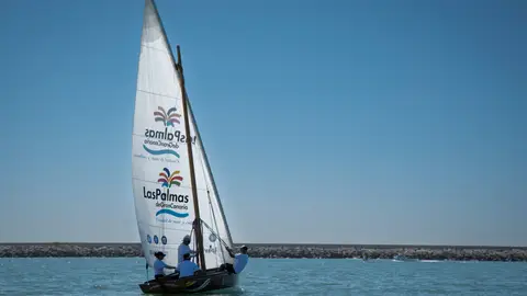 Vela latina Vela latina