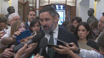 El líder de Vox, Santiago Abascal, en los pasillos del Congreso de los Diputados