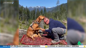 Un hombre enseña su truco para cortar las uñas de su perro: ponerse miel en la cabeza para entretenerlo