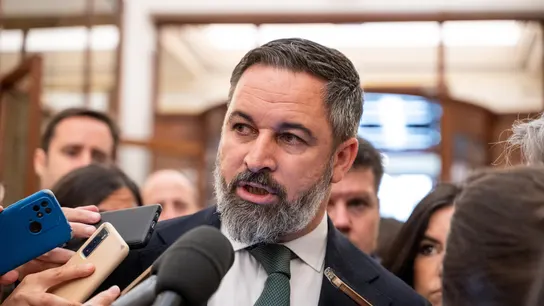 El líder de Vox, Santiago Abascal El líder de Vox, Santiago Abascal