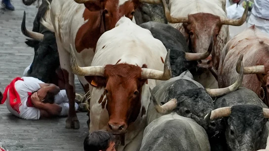 Imagen del séptimo encierro de San Fermín 2024 en Pamplona Imagen del séptimo encierro de San Fermín 2024 en Pamplona