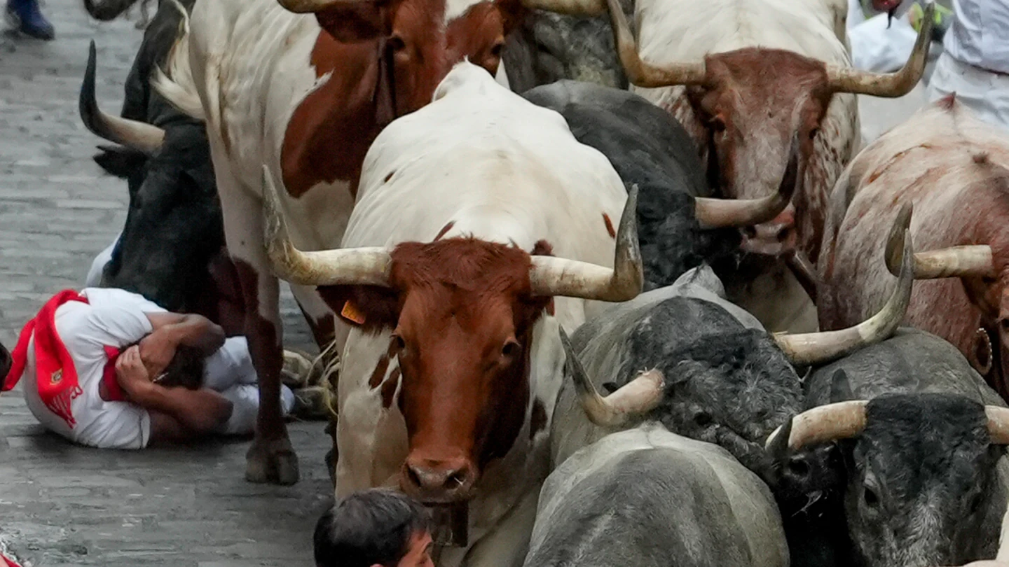 Imagen del séptimo encierro de San Fermín 2024 en Pamplona Imagen del séptimo encierro de San Fermín 2024 en Pamplona