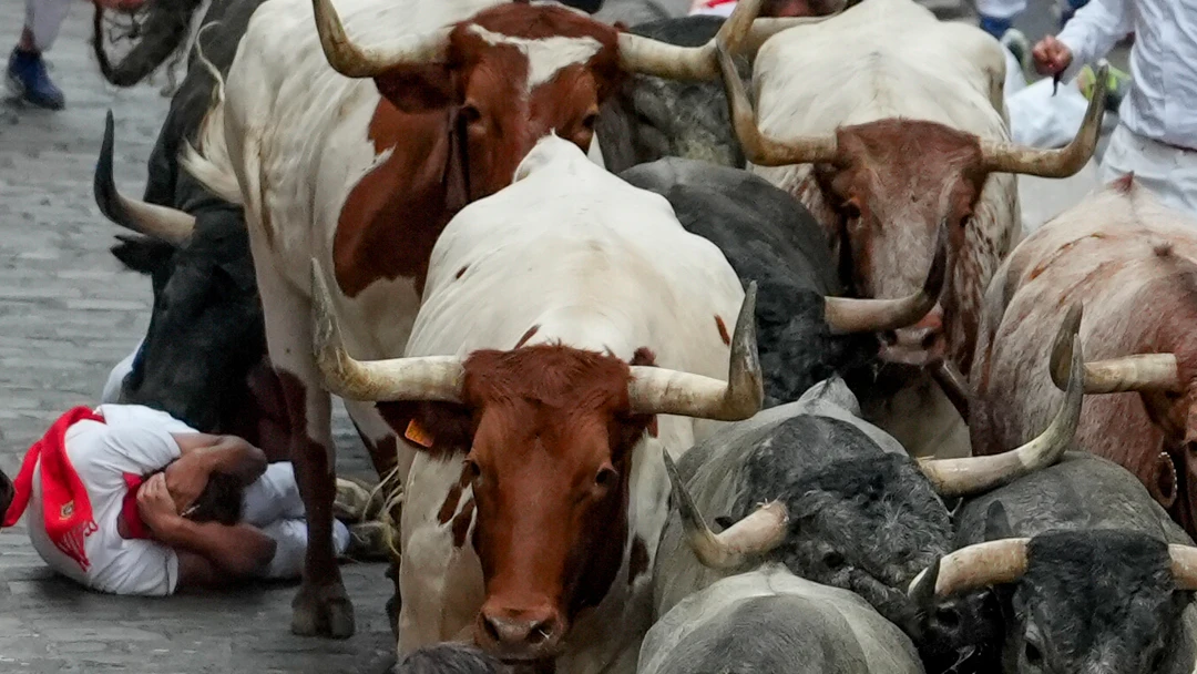 Imagen del séptimo encierro de San Fermín 2024 en Pamplona