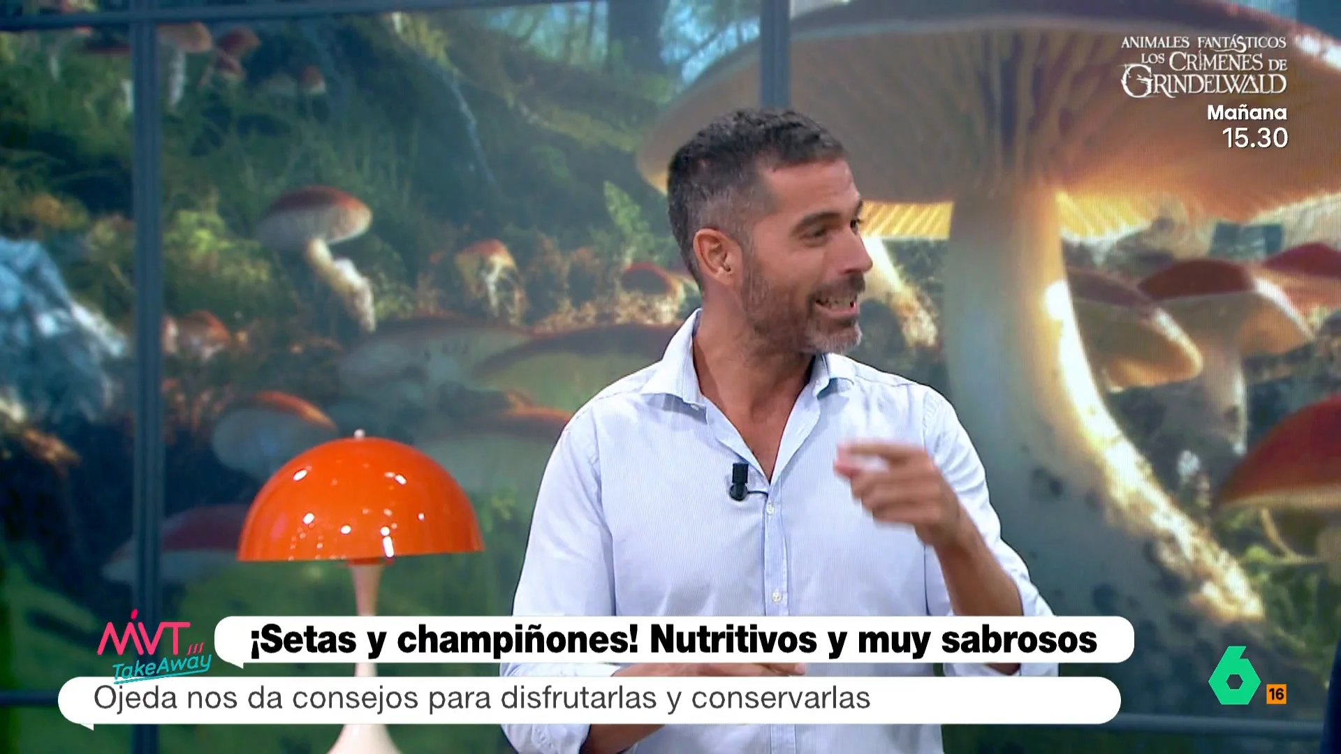 ¿Las setas son sanas? El nutricionista Pablo Ojeda da la respuesta